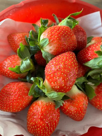 겨울철 건강관리 음식