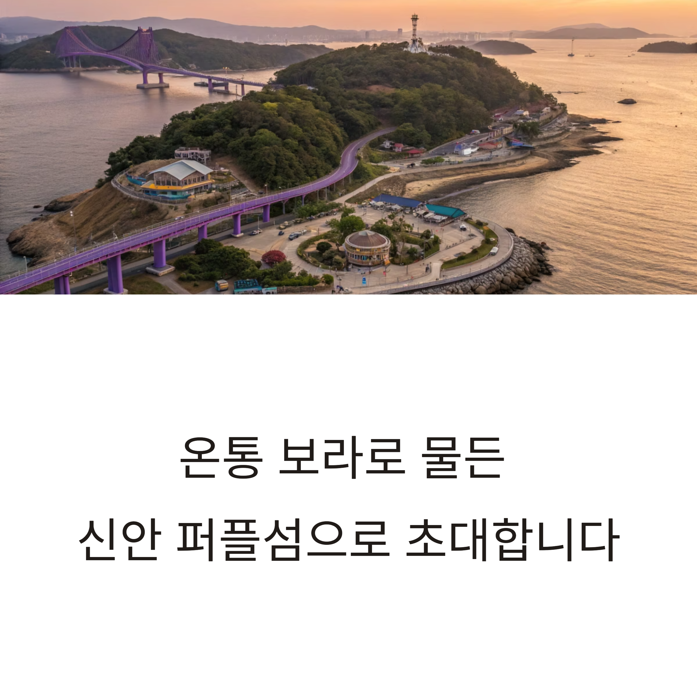 신안 퍼플섬