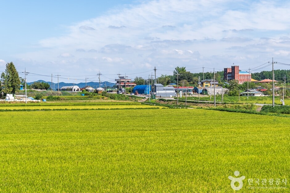 서천 가볼만한곳 베스트 10