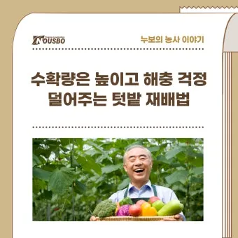 텃밭 해충 대처 진딧물 총채벌레 응애 노린재 방제_7