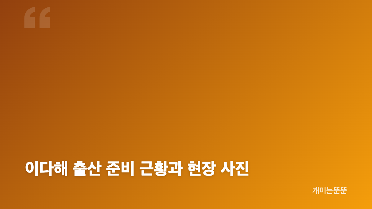 이다해 광군제 라이브 방송과 딴딴의 인연