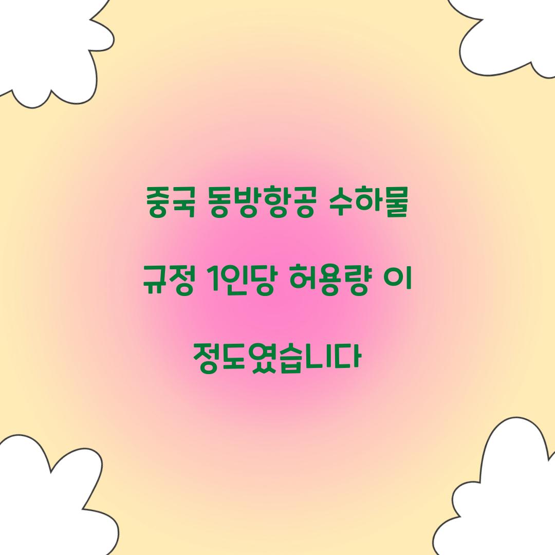 중국 동방항공 수하물 규정 1인당 허용량 이 정도였습니다 