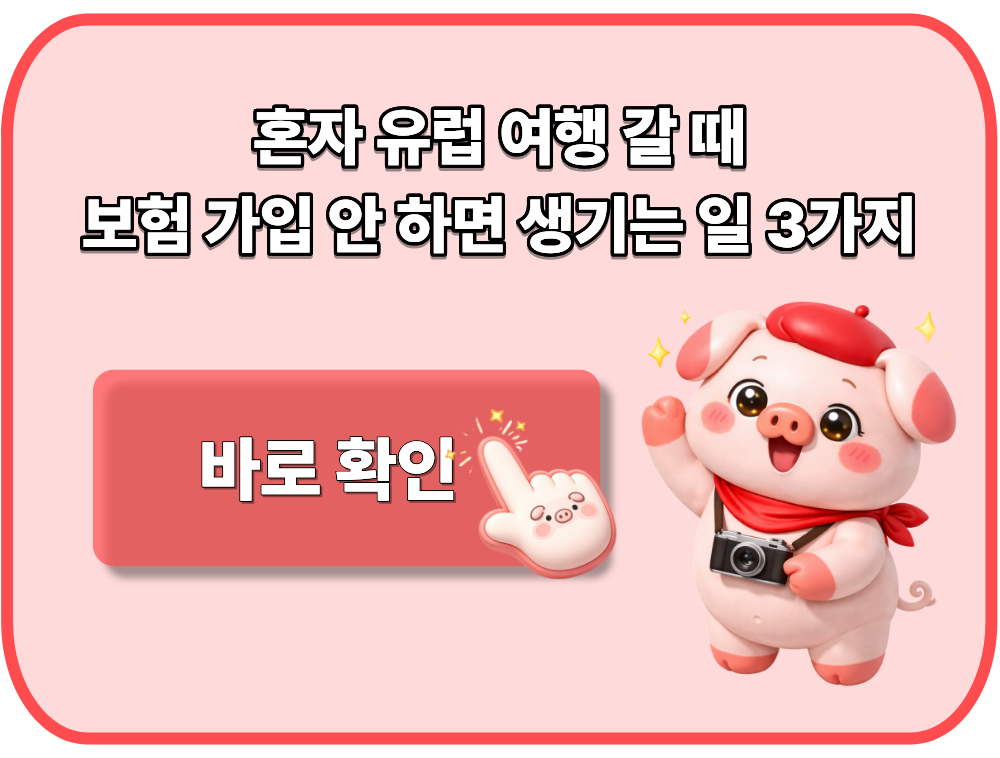 혼자 유럽 여행 갈 때 보험 가입 안 하면 생기는 일 3가지