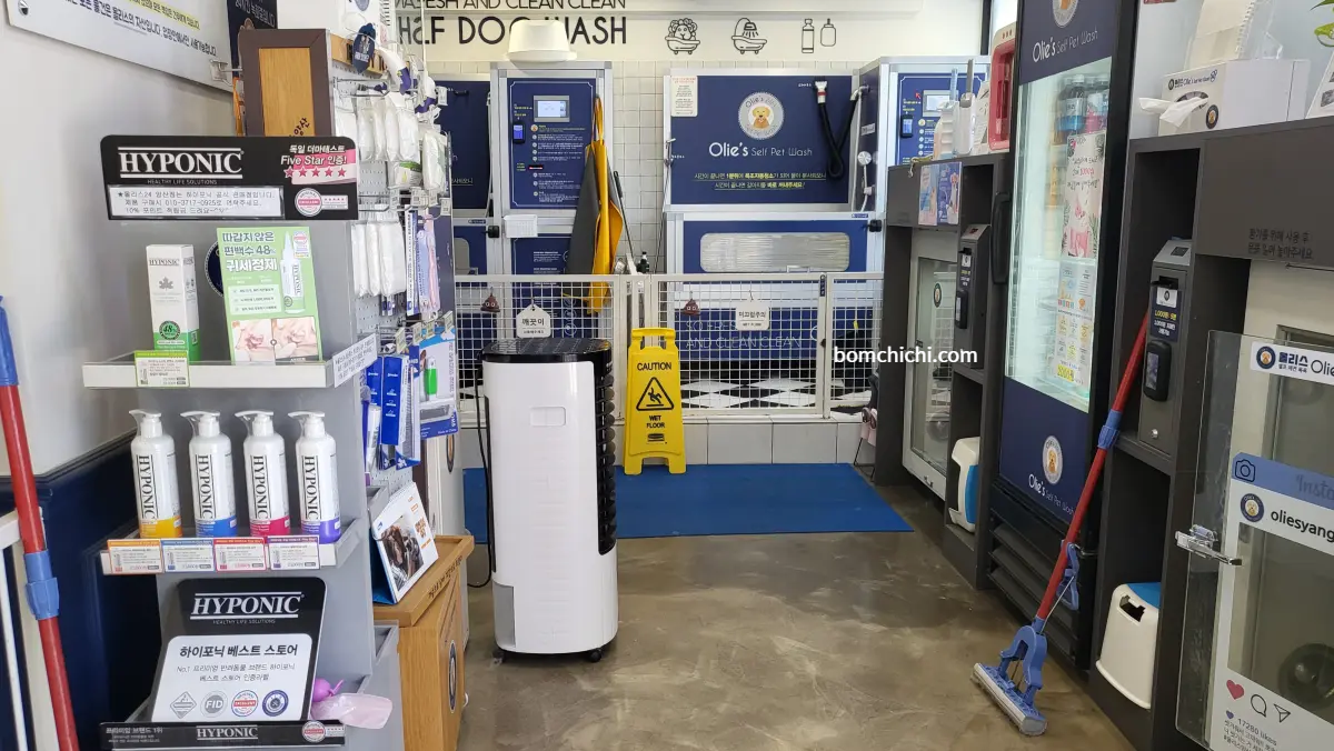 올리스 양산점 실내 사진