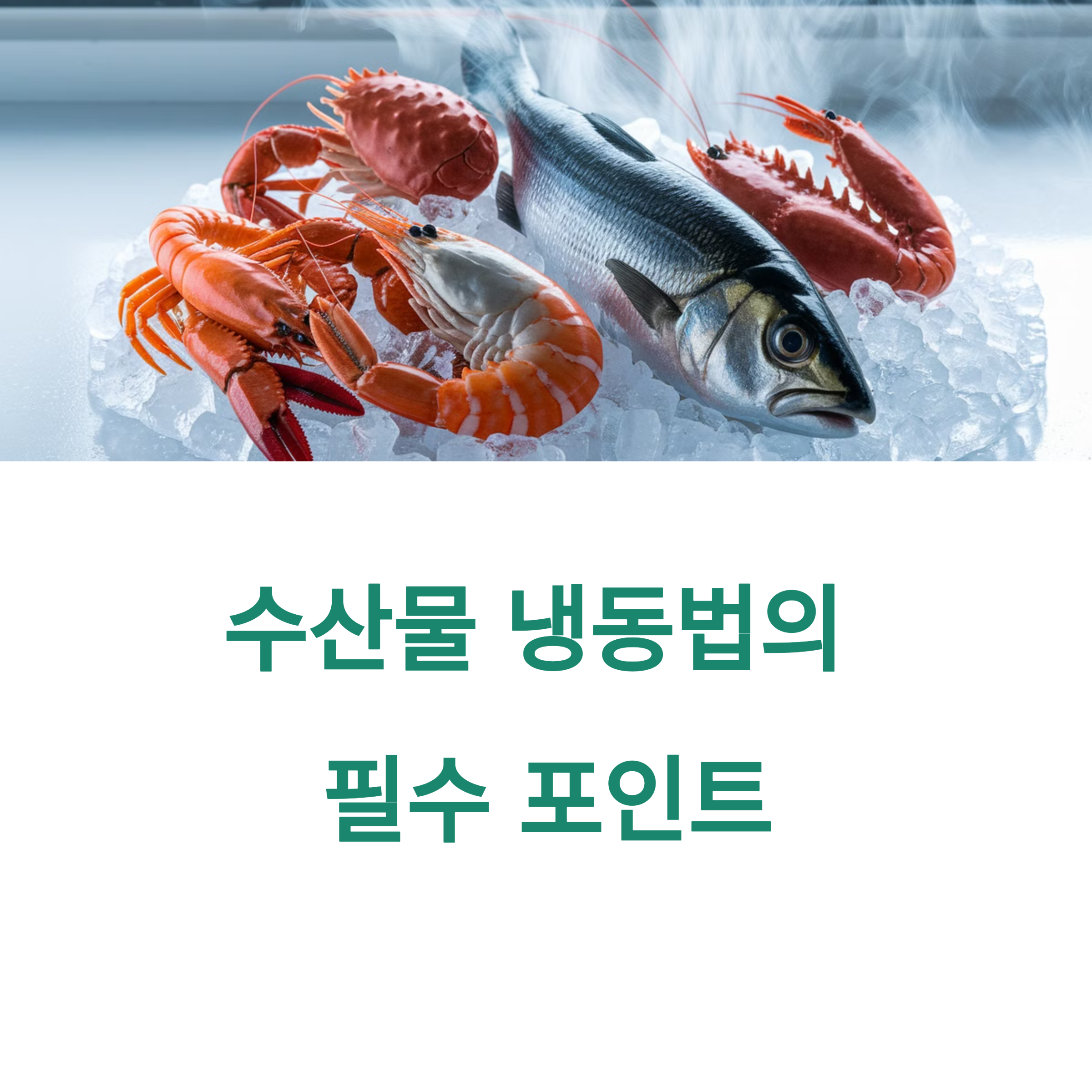 수산물 냉동 및 보관법