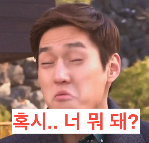 너 뭐 돼 짤