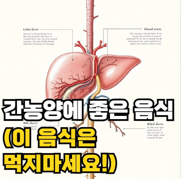 간농양에 좋은 음식
