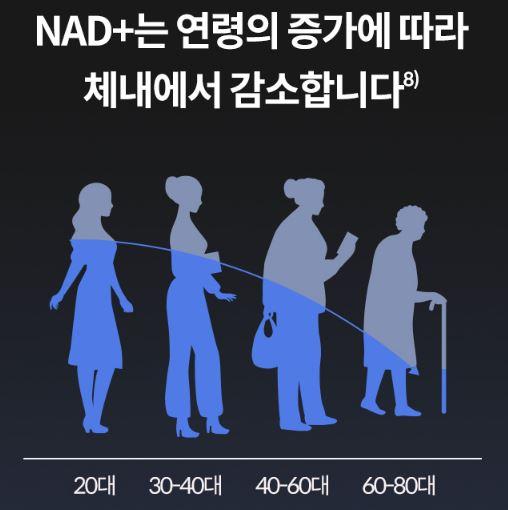 NMN 효능