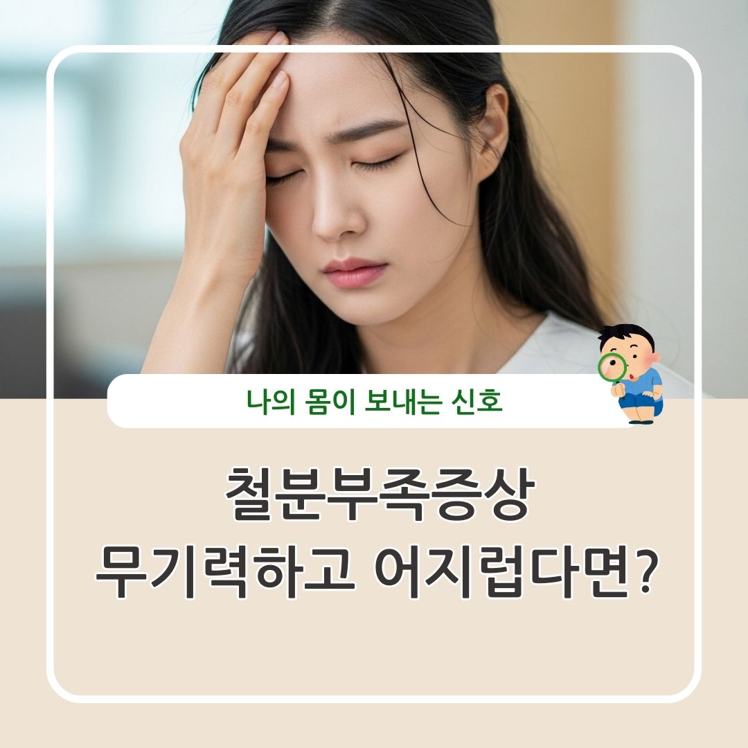 철분부족증상 어지럽고 무기력한 내 몸이 보내는 신호 정리