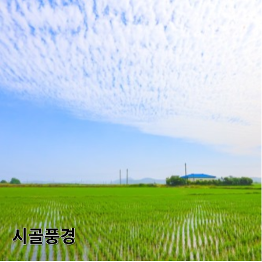 시골 풍경
 대한민국의 전통 농법, 농업 기구 및 활용법