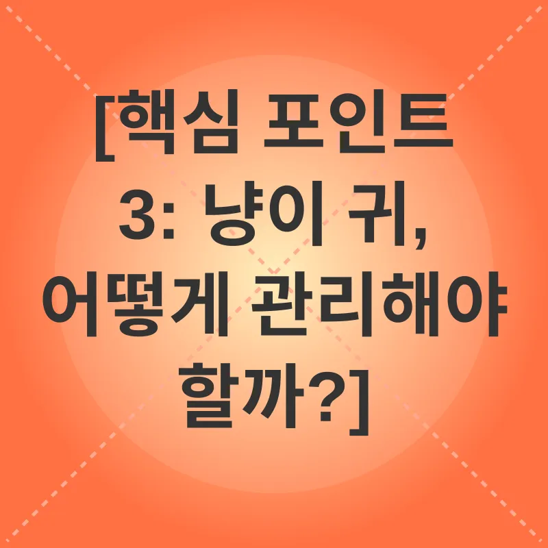 고양이 귀 관리_3