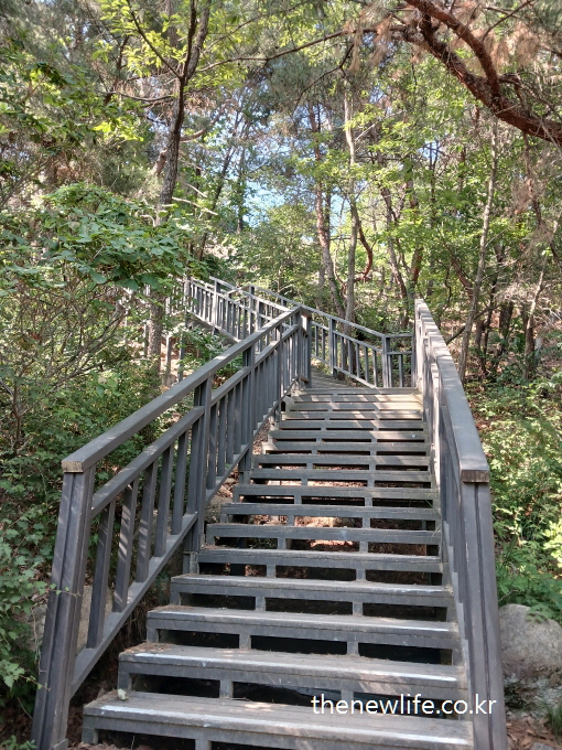 Long forest stairway with black railings – ideal for stair climbing workout and leg strengthening-검은 손잡이가 설치된 길게 이어진 숲속 계단 – 계단오르기 운동과 하체 근력 강화에 적합한 구조