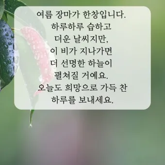 장마철 인사말 모음 예시 멘트_24