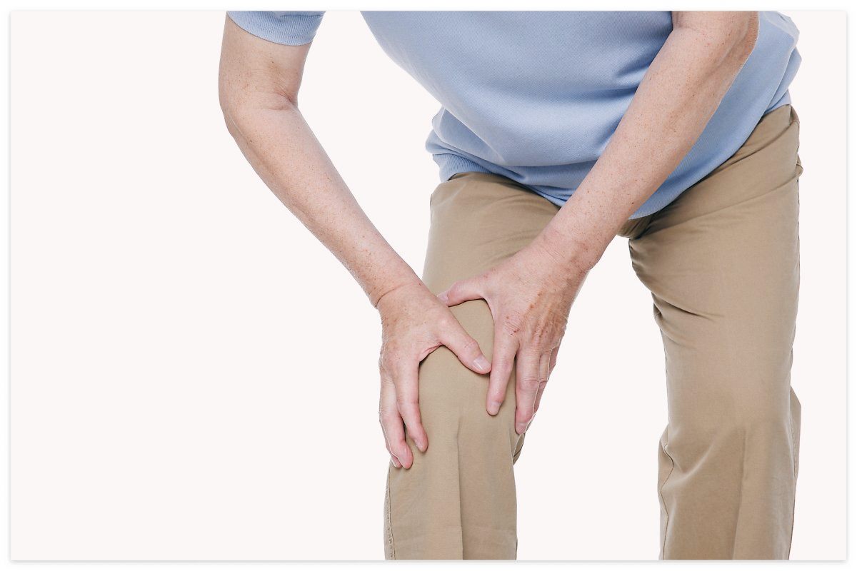 콘드로이친 효능