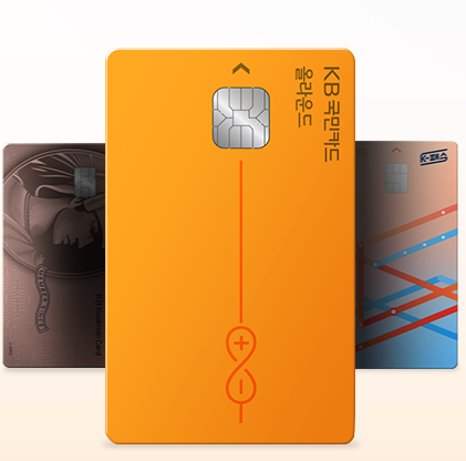 민생회복 소비쿠폰 이슈 정리