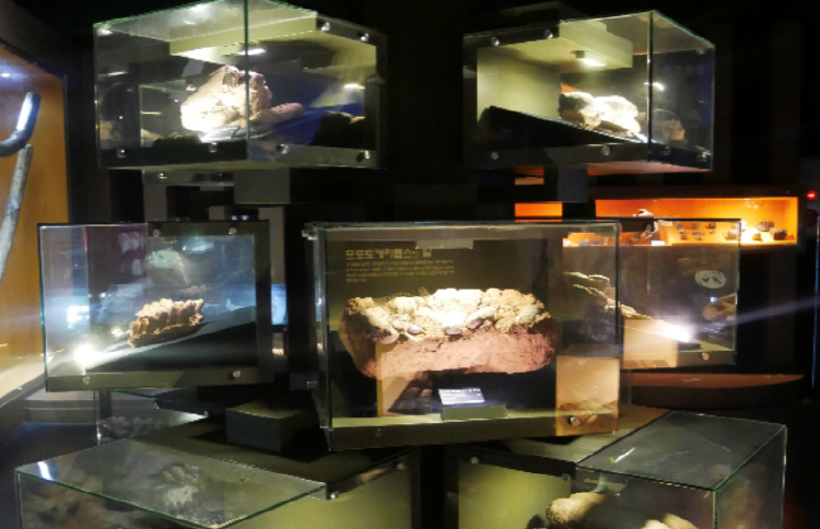 우석헌 자연사박물관