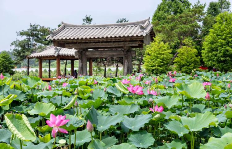 청산수목원