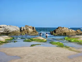 고성 해수욕장 여행 가이드와 스노쿨링 명소 정리_6