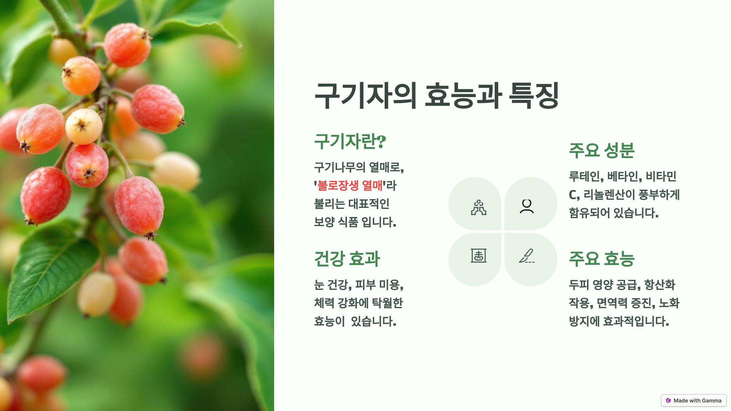 구기자의 효능과 특징