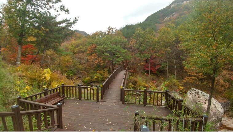 황정산자연휴양림 가을사진