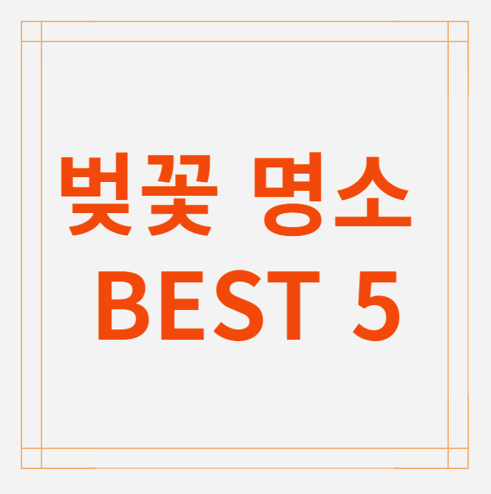 전남 벚꽃명소 BEST 5