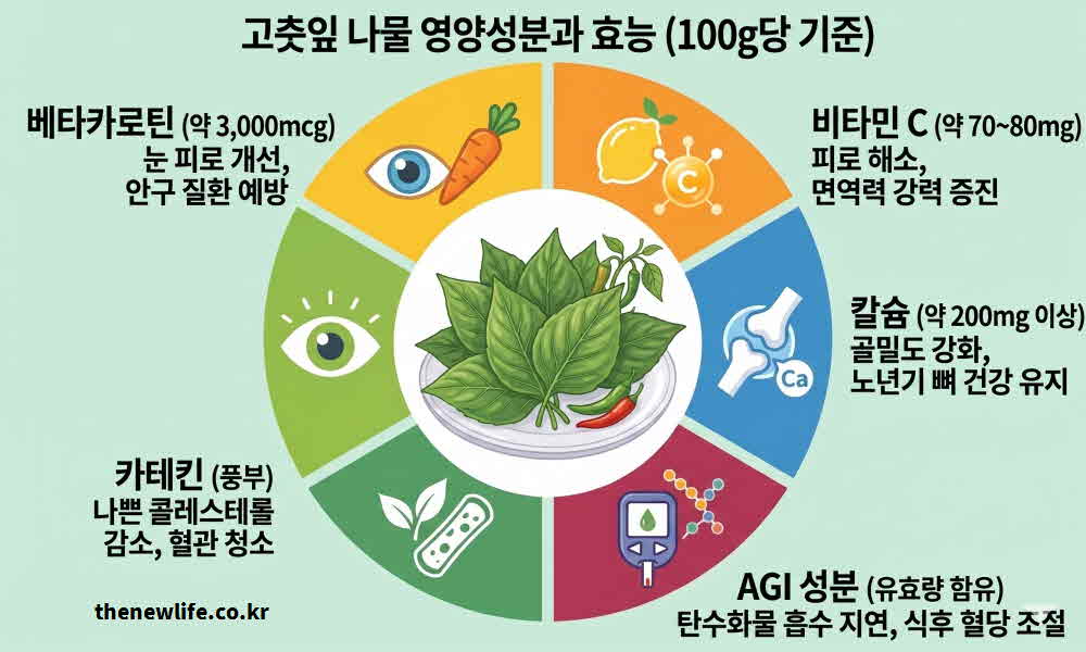 고춧잎 나물 효능 영양성분