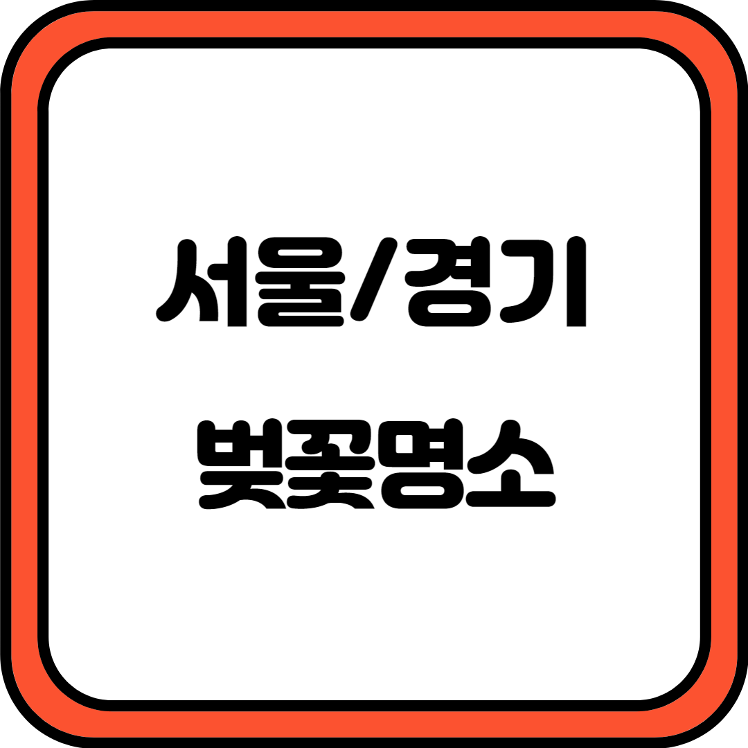서울 경기 벚꽃명소