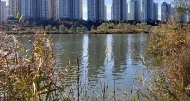 파주벚꽃명소