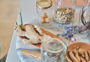 참당귀 효능 참당귀 뿌리 효능