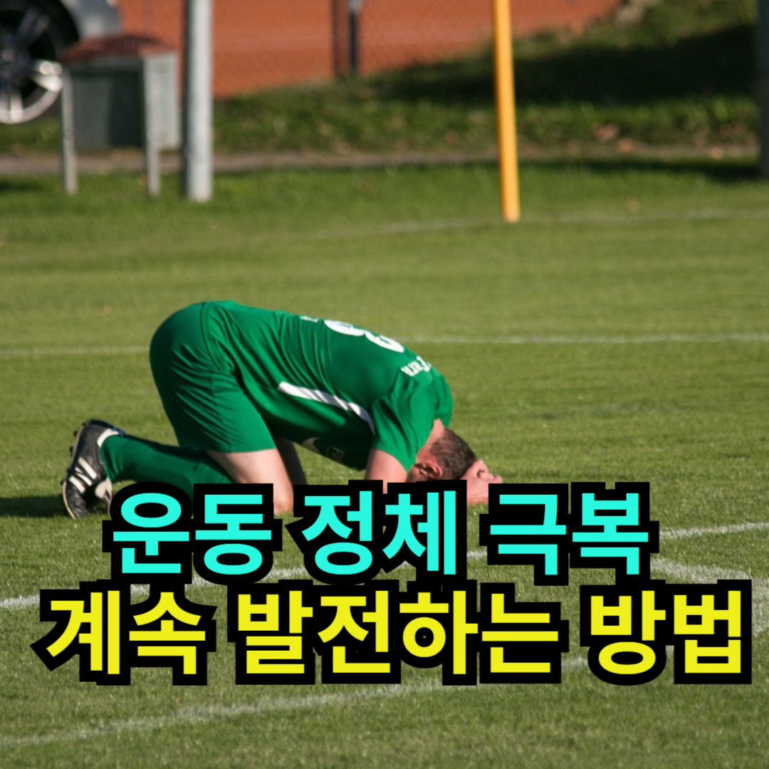 운동 정체 극복 - 계속 발전하는 방법