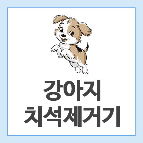 강아지-치석제거기