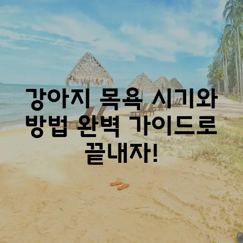 강아지 목욕 시기와 방법 완벽 가이드로 끝내자!