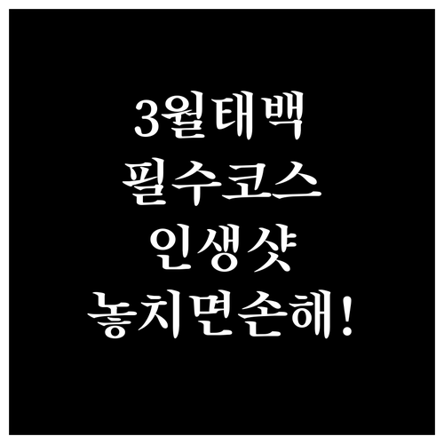 3월 강원도 태백 여행 가볼만한곳 베..