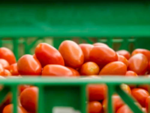 방울토마토 과다섭취 부작용