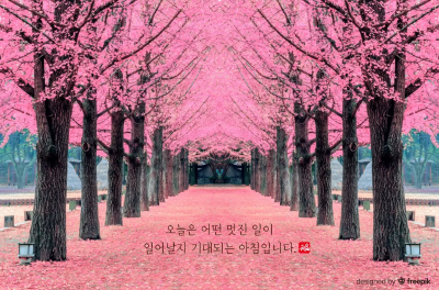 아침-이미지-6