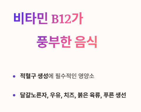 저혈압에 좋은 음식 : 비타민b12가 풍부한 음식