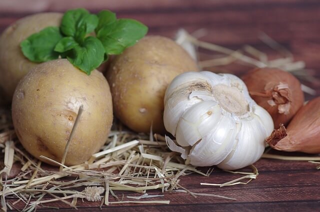 감자 심는 시기&amp;#44; 지역별 심는 시기