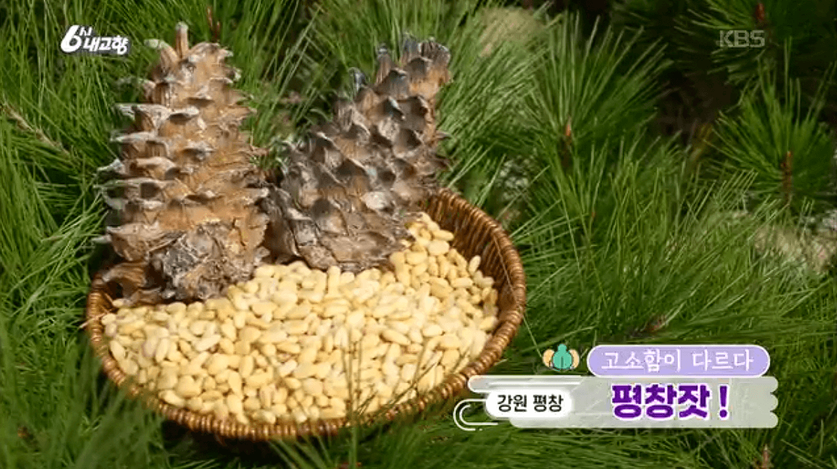 [6시내고향]강원도 평창 고급 잣 &amp;#39;평창잣농원 영농조합법인&amp;#39; 택배 배송 연락처 정보 