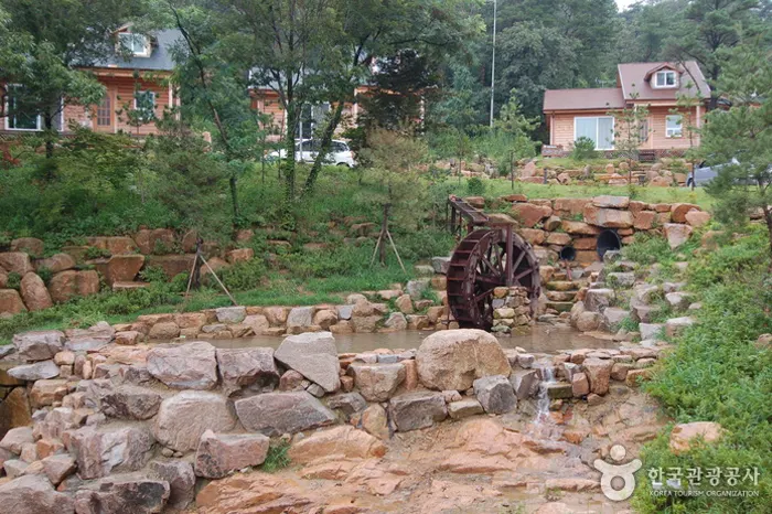 용봉산 자연휴양림 전경 이미지