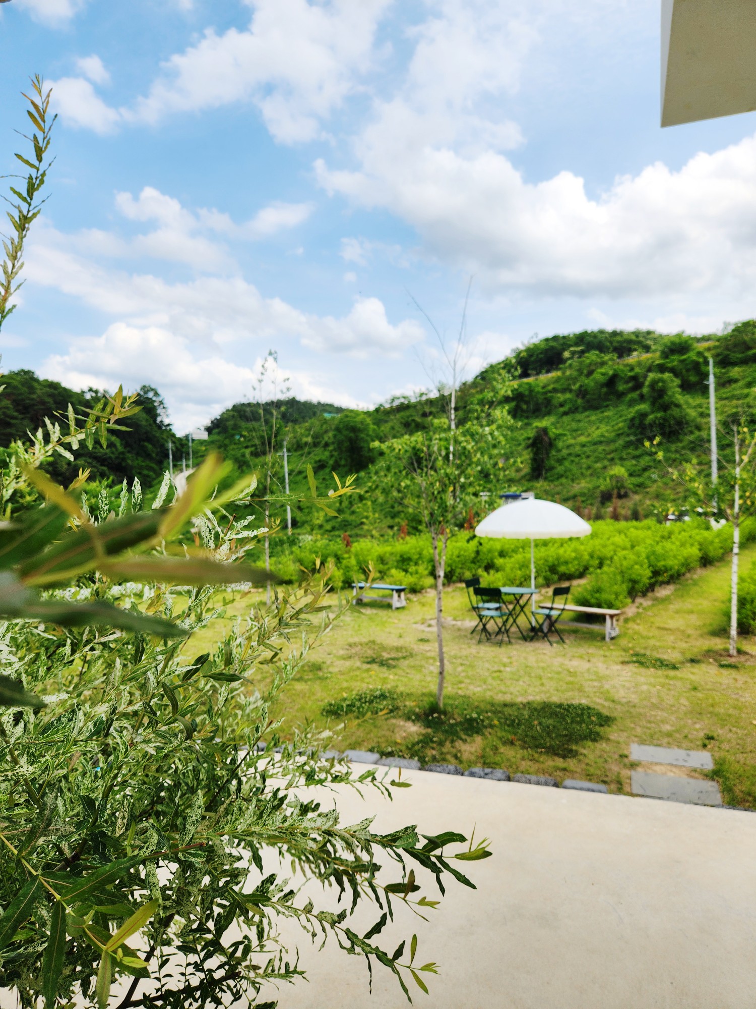 원주 지정면 감성카페 ‘모멘도르