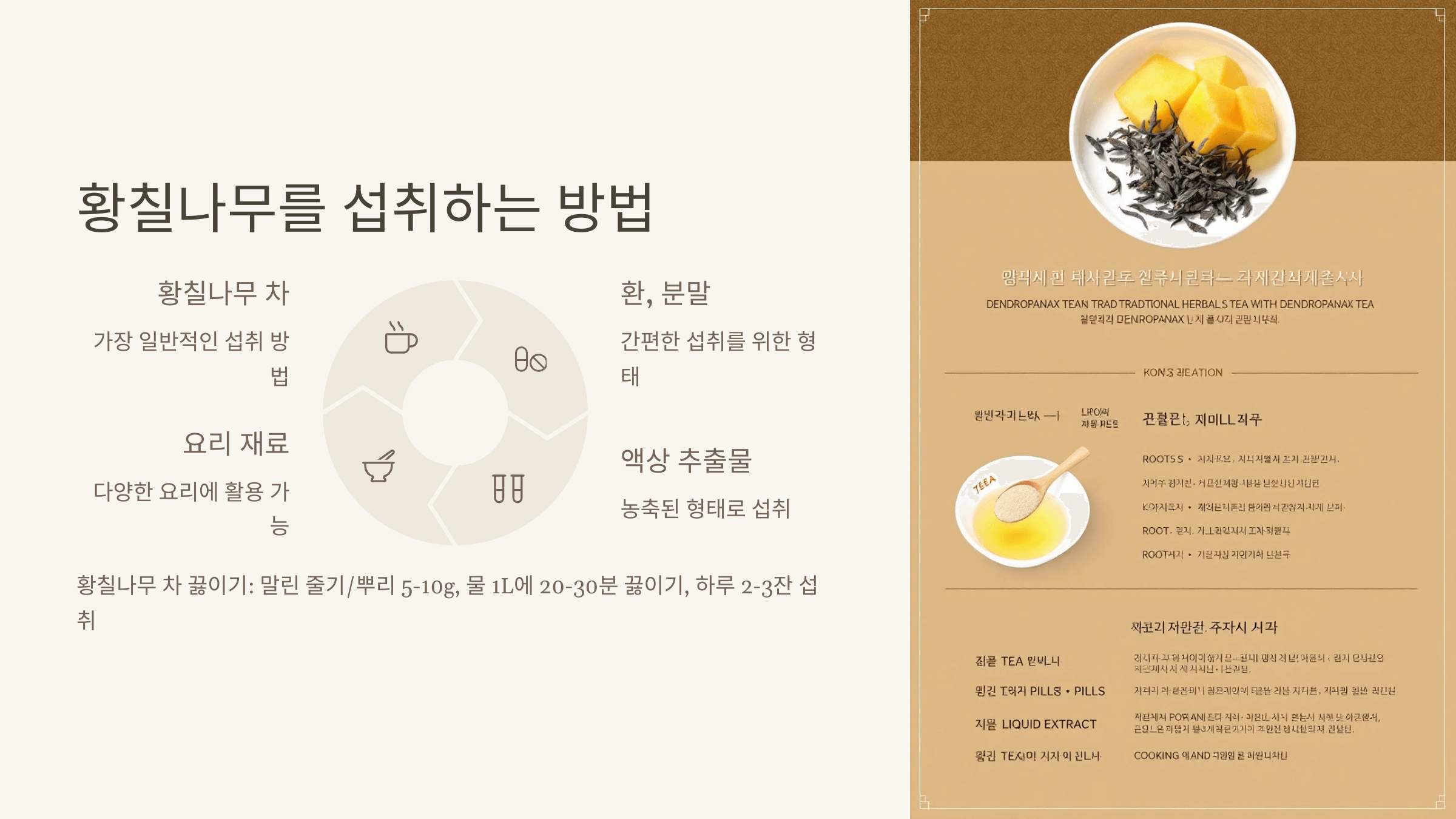 황칠나무 사진입니다.