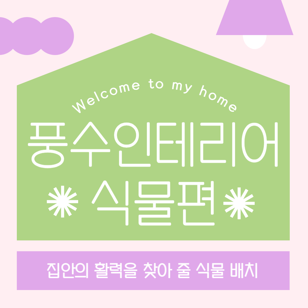 풍수인테리어식물