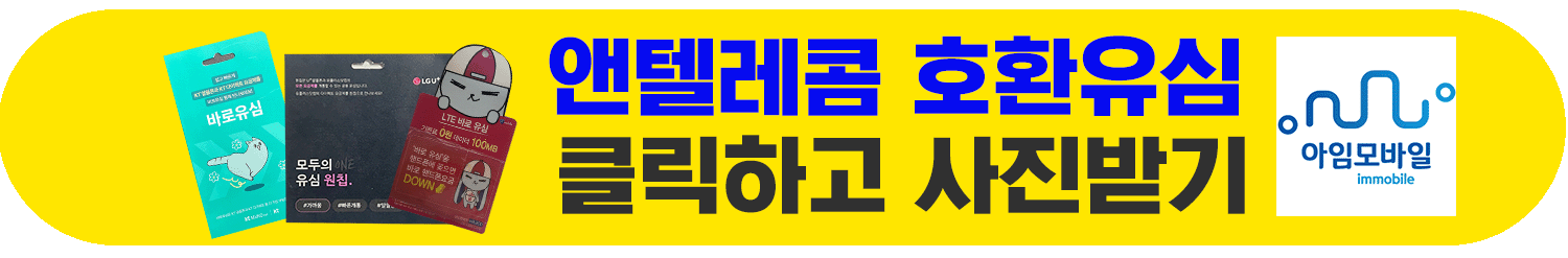 앤텔레콤 호환유심