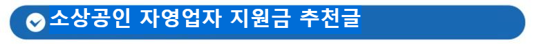 소상공인 자영업자 지원금 지원정채