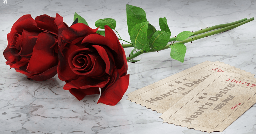 삼척장미축제 일정 입장료 주차장 관람꿀팁