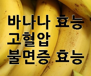 바나나 효능