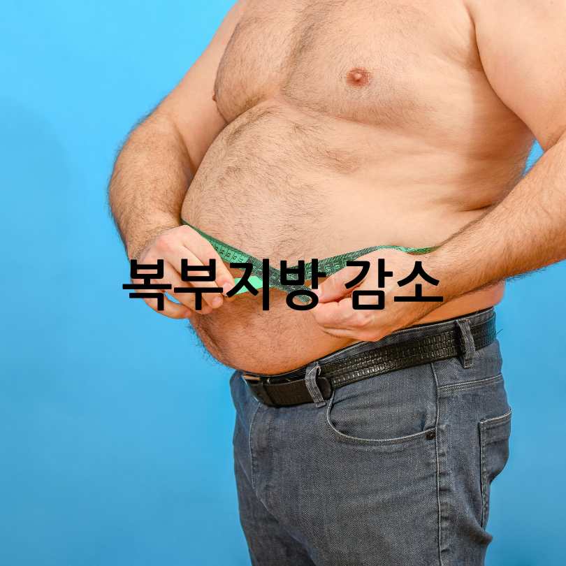 당독소다이어트