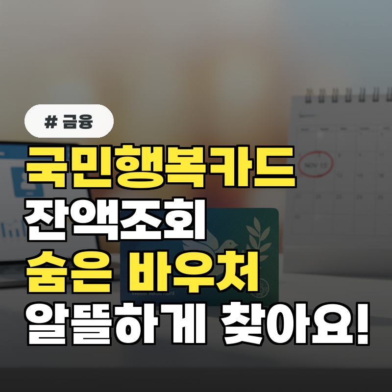 국민행복카드 잔액조회, 놓치면 아까운 숨은 바우처 찾는 법