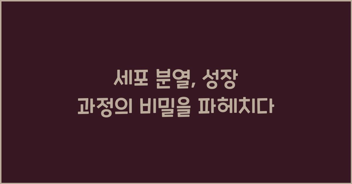 세포 분열, 성장 과정