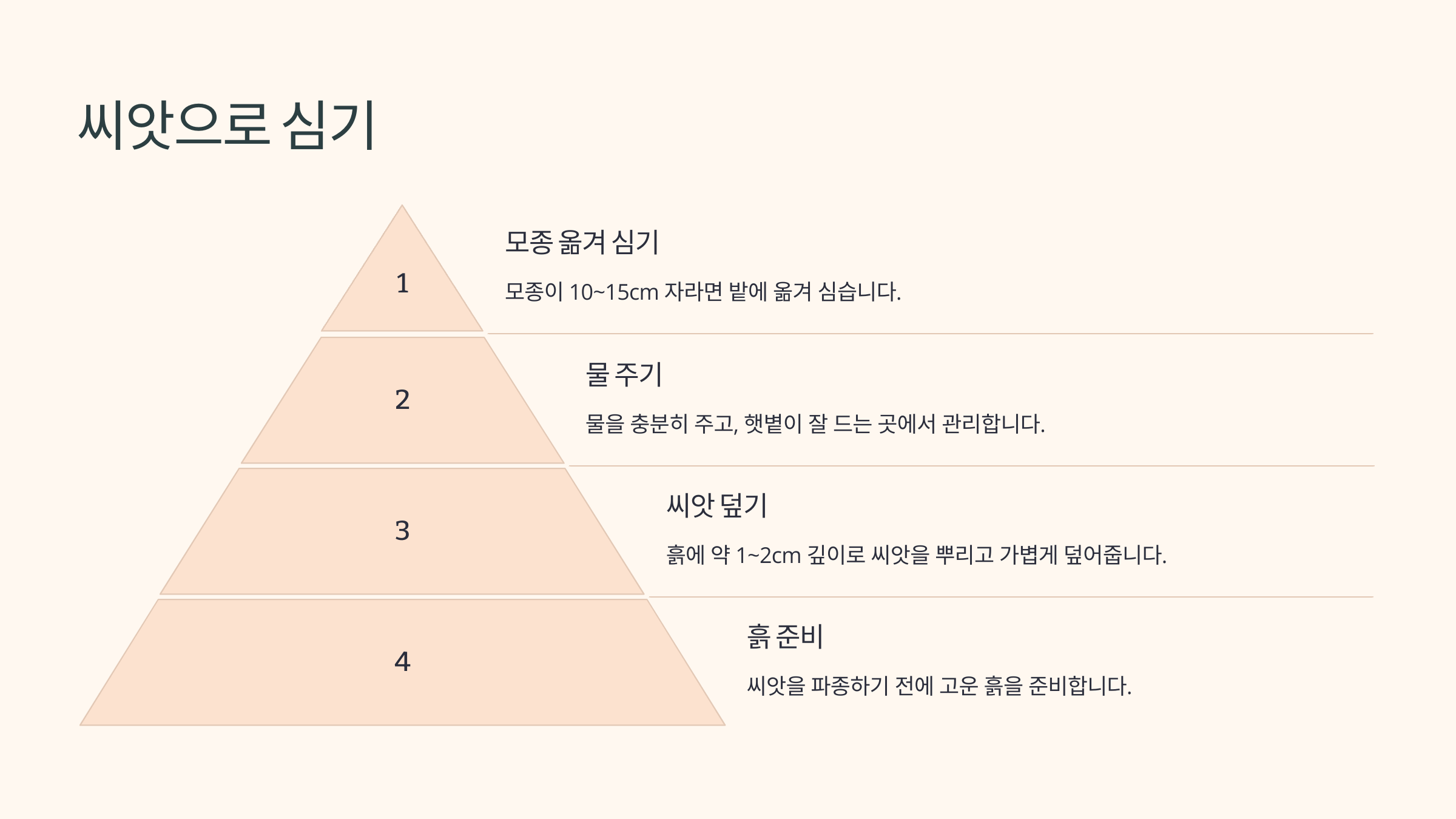 양파 사진입니다.